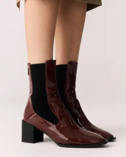 DNA PLUM PATENT