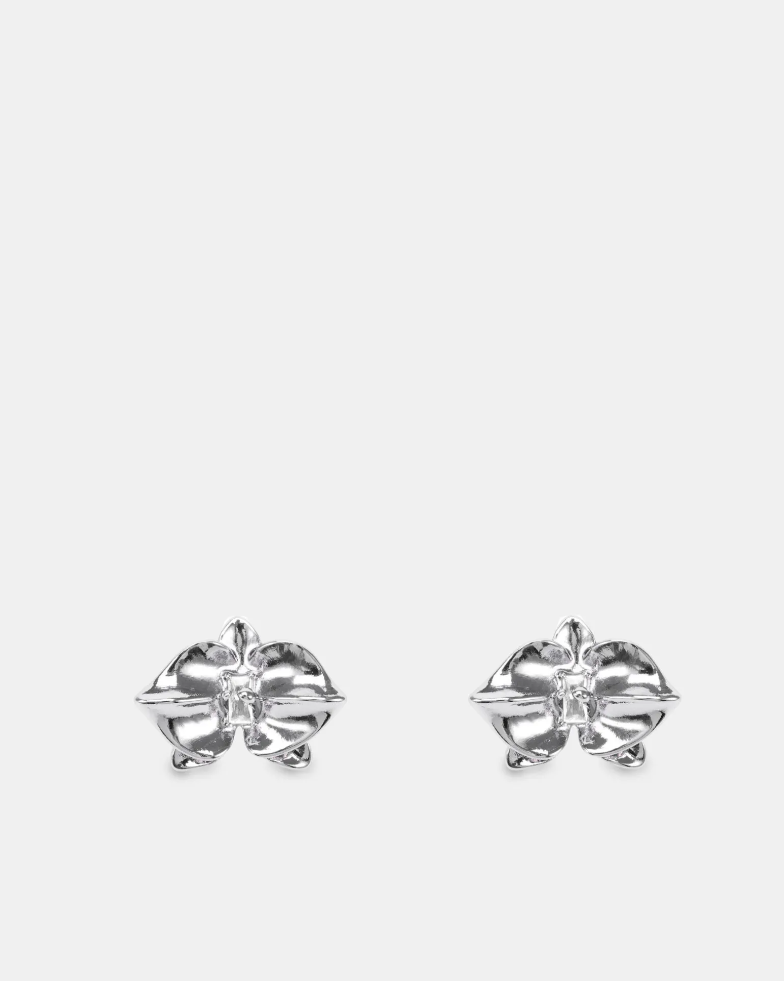 EARRING - DEBBIE SILVER Earrings