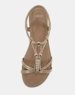 ELNOVA GOLD