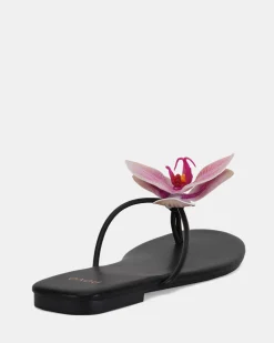 SAPINA BLACK Sandals