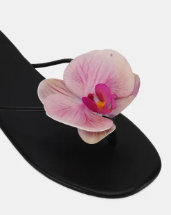 SAPINA BLACK Sandals
